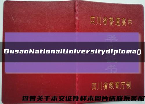 BusanNationalUniversitydiploma()缩略图