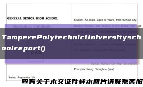 TamperePolytechnicUniversityschoolreport()缩略图