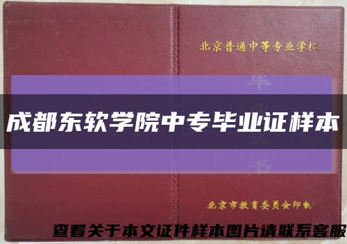成都东软学院中专毕业证样本缩略图