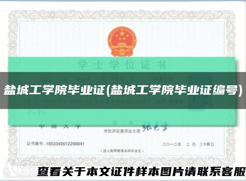 盐城工学院毕业证(盐城工学院毕业证编号)缩略图