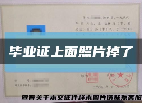 毕业证上面照片掉了缩略图