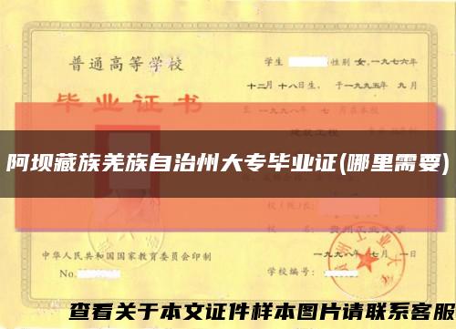阿坝藏族羌族自治州大专毕业证(哪里需要)缩略图