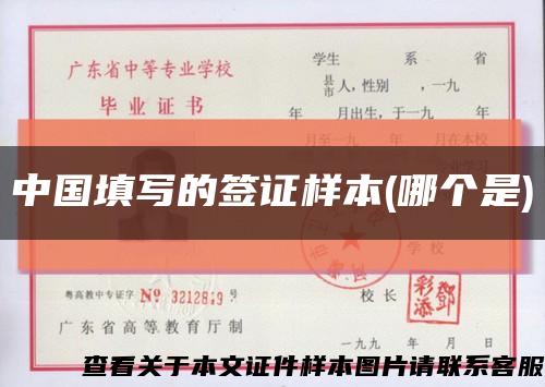 中国填写的签证样本(哪个是)缩略图