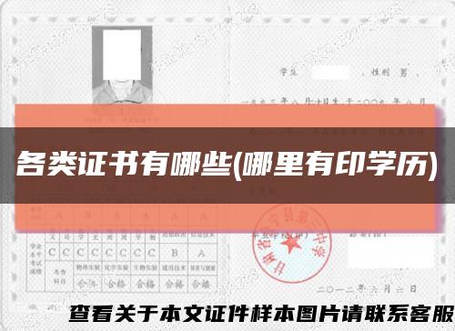 各类证书有哪些(哪里有印学历)缩略图