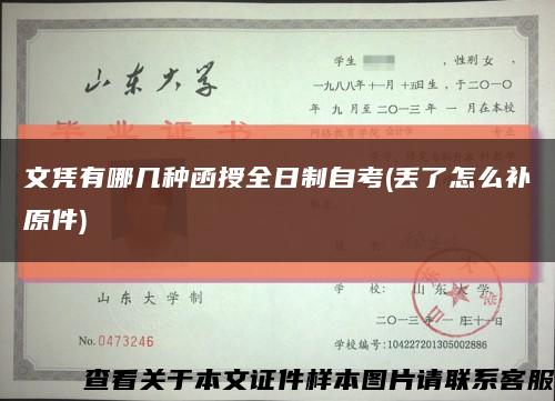 文凭有哪几种函授全日制自考(丢了怎么补原件)缩略图