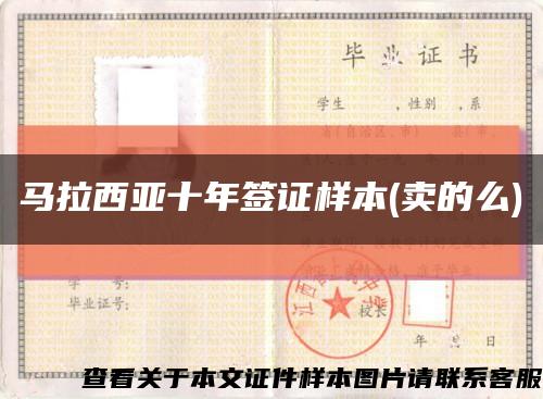 马拉西亚十年签证样本(卖的么)缩略图