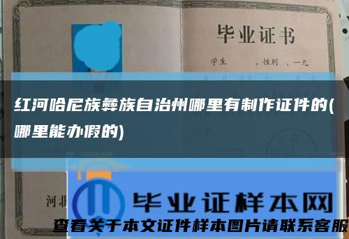 红河哈尼族彝族自治州哪里有制作证件的(哪里能办假的)缩略图