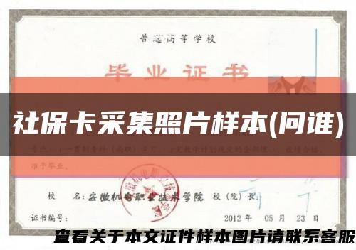 社保卡采集照片样本(问谁)缩略图