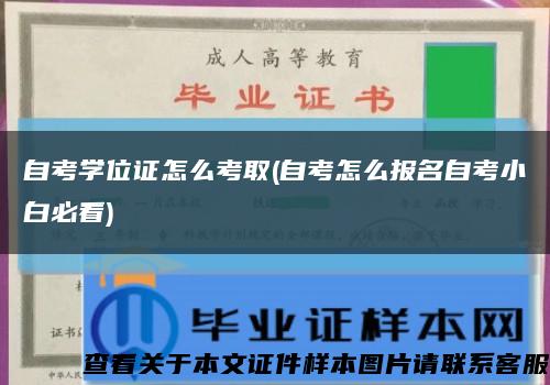 自考学位证怎么考取(自考怎么报名自考小白必看)缩略图
