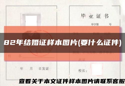 82年结婚证样本图片(要什么证件)缩略图