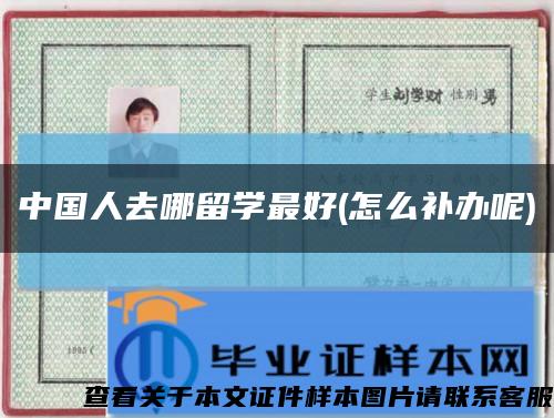 中国人去哪留学最好(怎么补办呢)缩略图