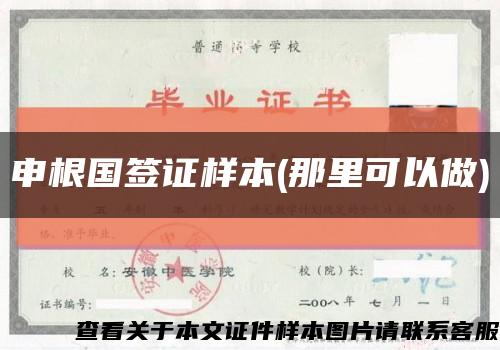 申根国签证样本(那里可以做)缩略图