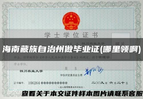 海南藏族自治州做毕业证(哪里领啊)缩略图