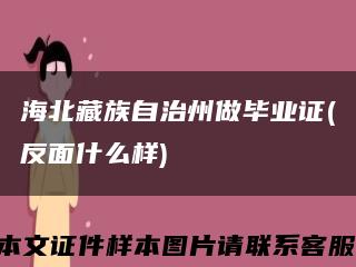 海北藏族自治州做毕业证(反面什么样)缩略图