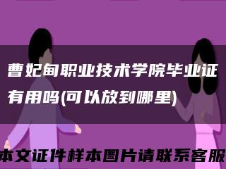 曹妃甸职业技术学院毕业证有用吗(可以放到哪里)缩略图