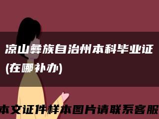 凉山彝族自治州本科毕业证(在哪补办)缩略图