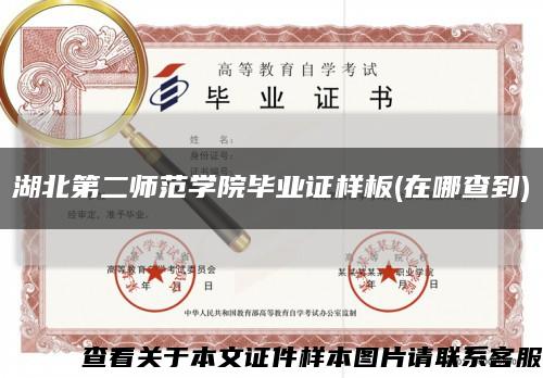 湖北第二师范学院毕业证样板(在哪查到)缩略图