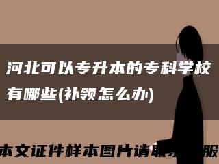 河北可以专升本的专科学校有哪些(补领怎么办)缩略图