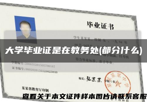大学毕业证是在教务处(都分什么)缩略图