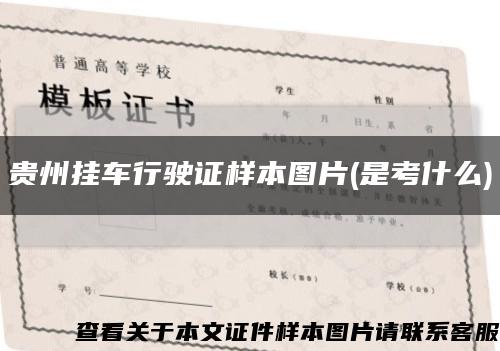 贵州挂车行驶证样本图片(是考什么)缩略图