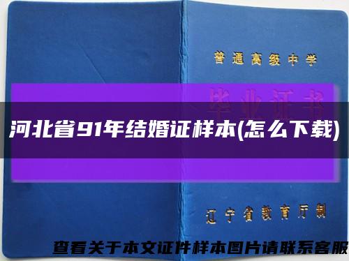 河北省91年结婚证样本(怎么下载)缩略图