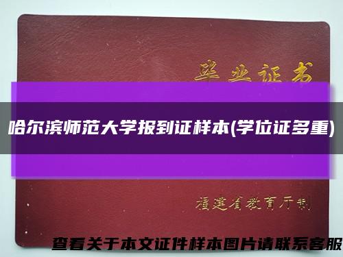 哈尔滨师范大学报到证样本(学位证多重)缩略图