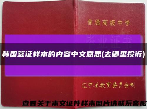 韩国签证样本的内容中文意思(去哪里投诉)缩略图