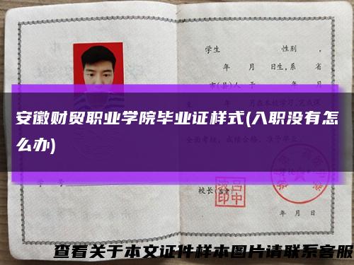 安徽财贸职业学院毕业证样式(入职没有怎么办)缩略图