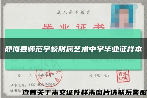 静海县师范学校附属艺术中学毕业证样本缩略图