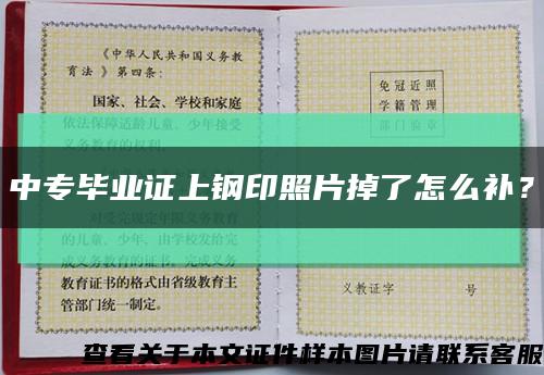 中专毕业证上钢印照片掉了怎么补？缩略图