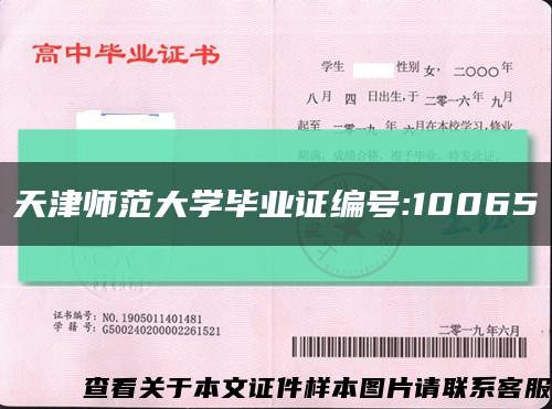 天津师范大学毕业证编号:10065缩略图