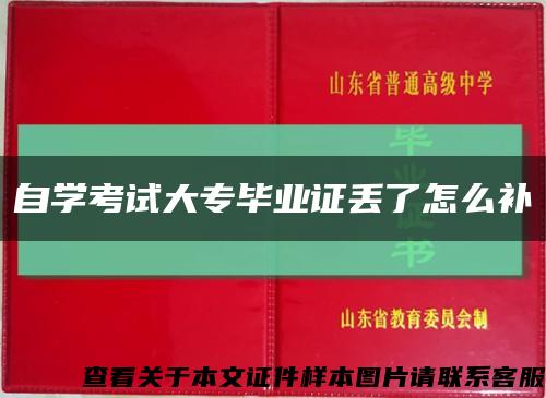 自学考试大专毕业证丢了怎么补缩略图
