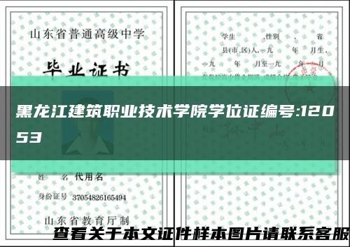 黑龙江建筑职业技术学院学位证编号:12053缩略图