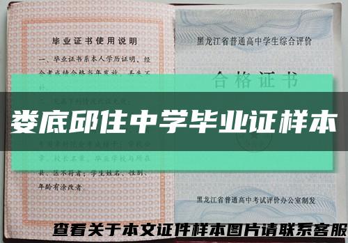 娄底邱住中学毕业证样本缩略图