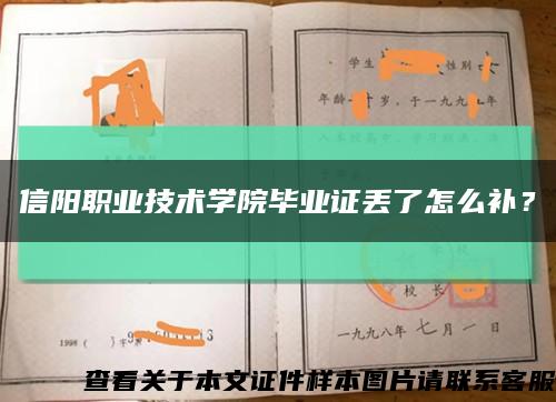 信阳职业技术学院毕业证丢了怎么补？缩略图