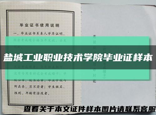 盐城工业职业技术学院毕业证样本缩略图