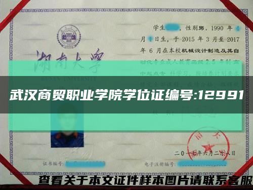 武汉商贸职业学院学位证编号:12991缩略图