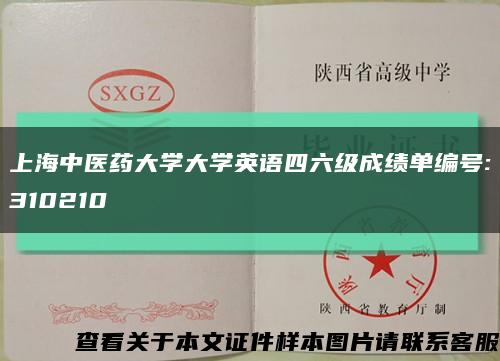 上海中医药大学大学英语四六级成绩单编号:310210缩略图