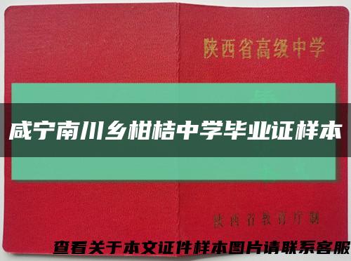 咸宁南川乡柑桔中学毕业证样本缩略图