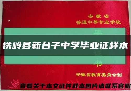 铁岭县新台子中学毕业证样本缩略图