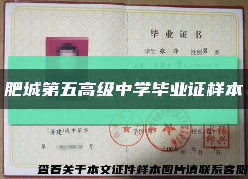 肥城第五高级中学毕业证样本缩略图