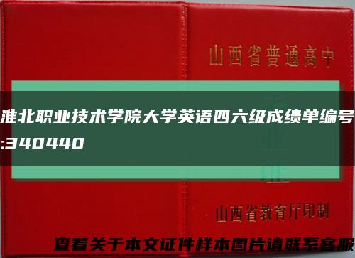 淮北职业技术学院大学英语四六级成绩单编号:340440缩略图