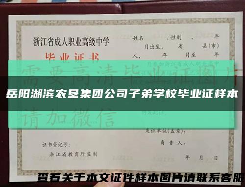 岳阳湖滨农垦集团公司子弟学校毕业证样本缩略图