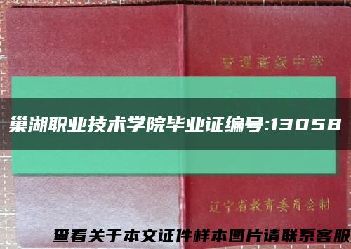 巢湖职业技术学院毕业证编号:13058缩略图