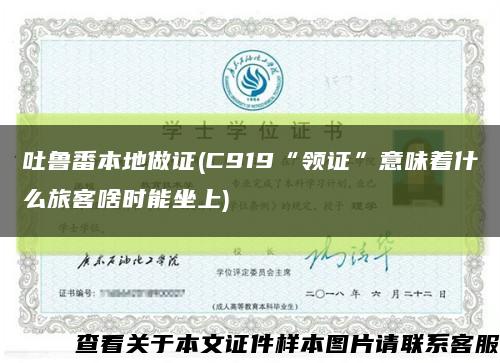 吐鲁番本地做证(C919“领证”意味着什么旅客啥时能坐上)缩略图