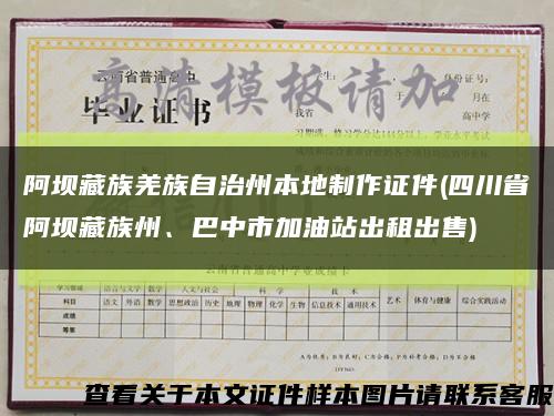 阿坝藏族羌族自治州本地制作证件(四川省阿坝藏族州、巴中市加油站出租出售)缩略图