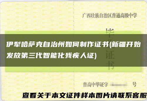 伊犁哈萨克自治州如何制作证书(新疆开始发放第三代智能化残疾人证)缩略图