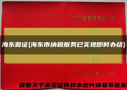 海东做证(海东市纳税服务已实现即时办结)缩略图
