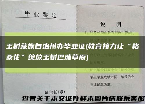 玉树藏族自治州办毕业证(教育接力让“格桑花”绽放玉树巴塘草原)缩略图