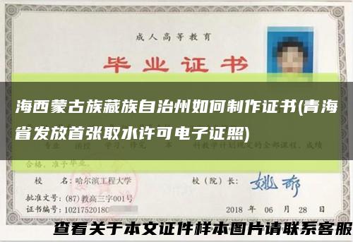 海西蒙古族藏族自治州如何制作证书(青海省发放首张取水许可电子证照)缩略图